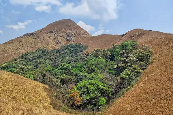 Jenukallu betta Sakleshpur